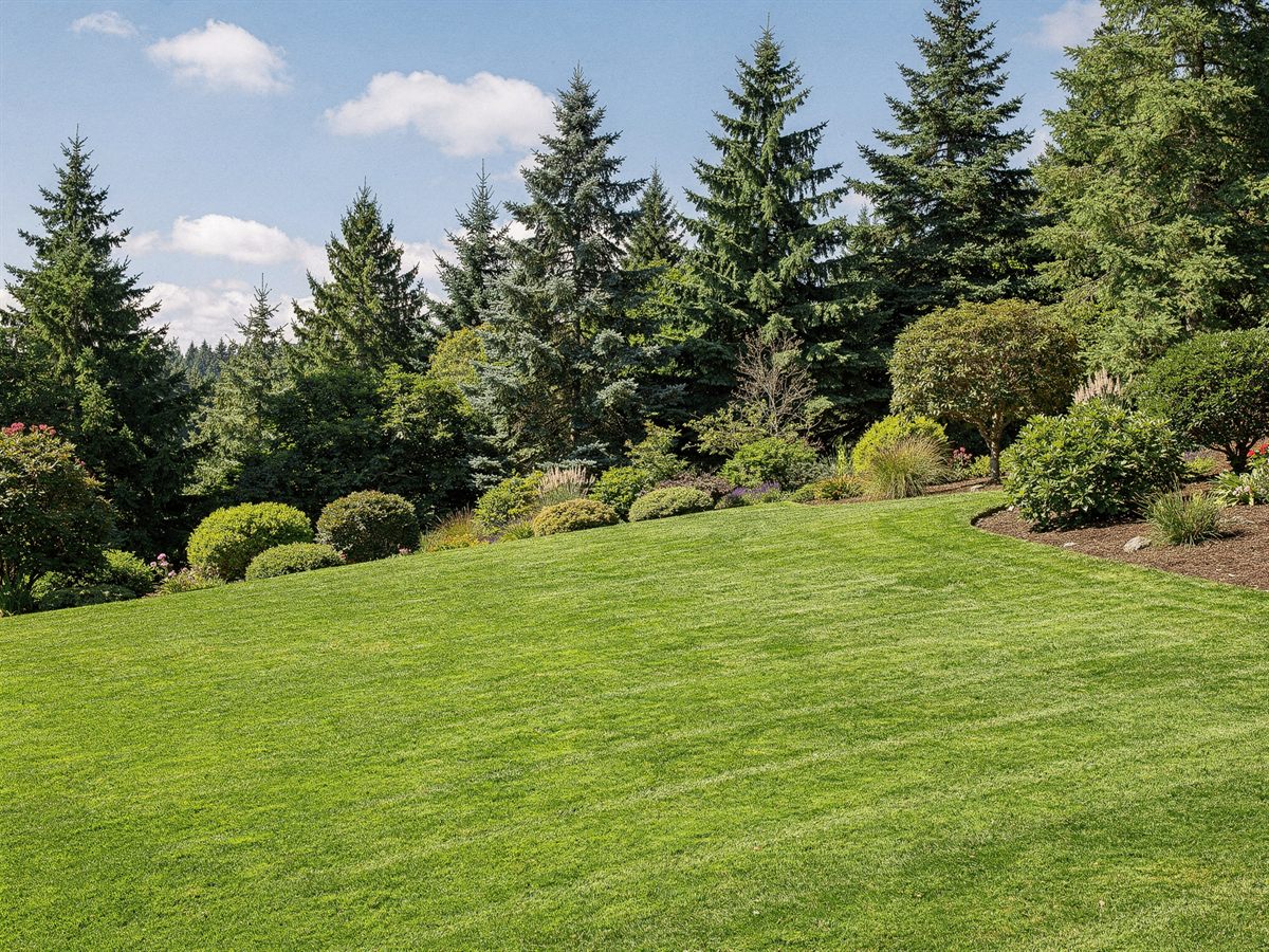 Lawn Care work by Goat Exterior Maintenance